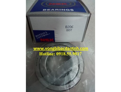 BẠC ĐẠN B206 NSK